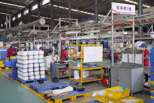 智造升级 工业机器人赋能凌丰集团，科技引领云浮不锈钢产业新篇章